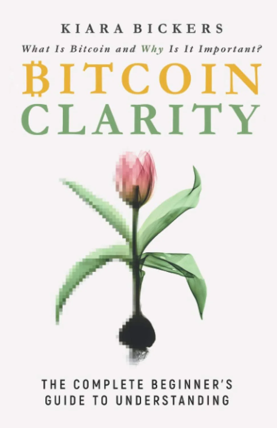 Bitcoin Clarity: A Guide To Understanding by Kiara Bickers