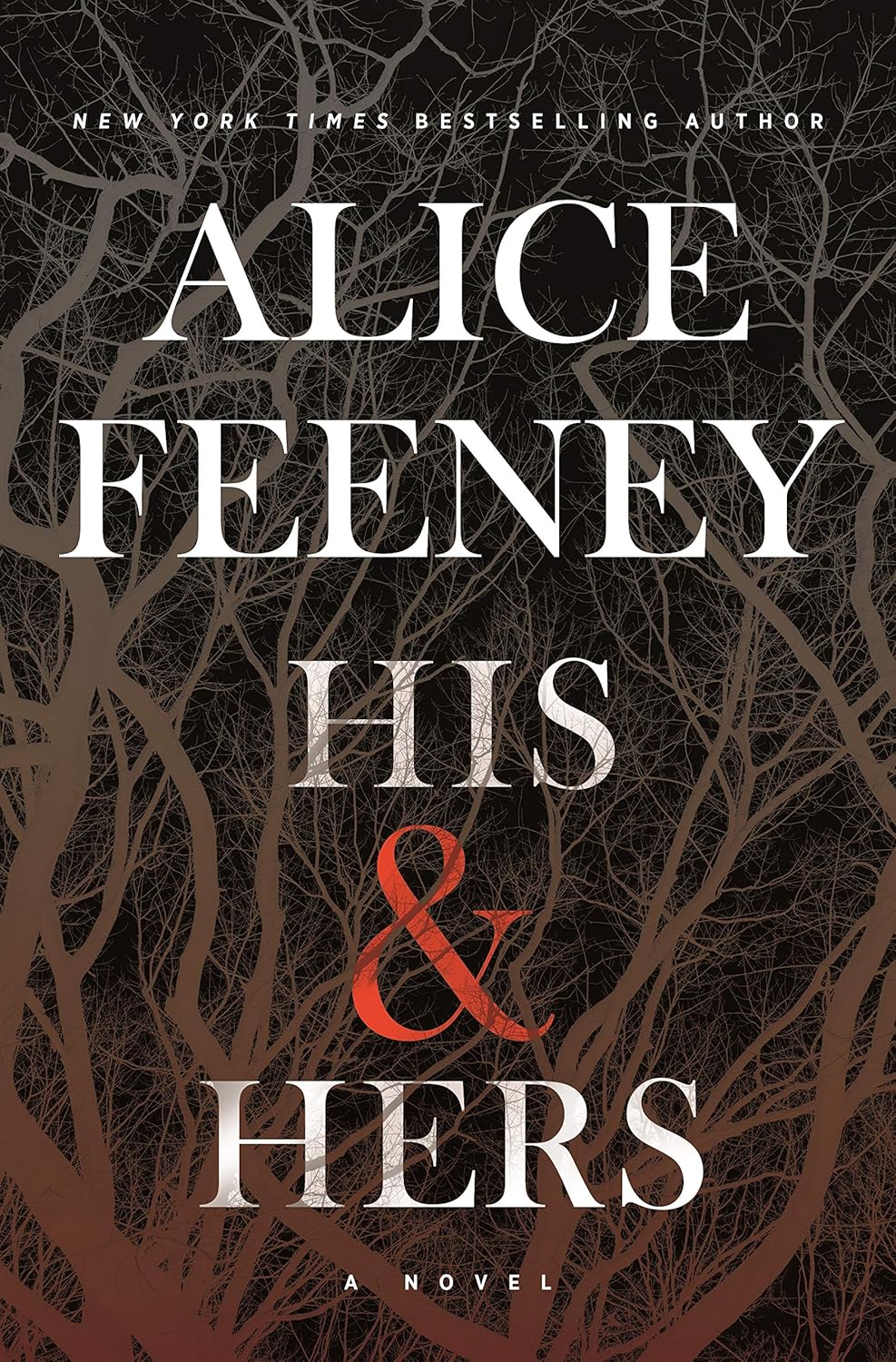 His & Hers by Alice Feeney