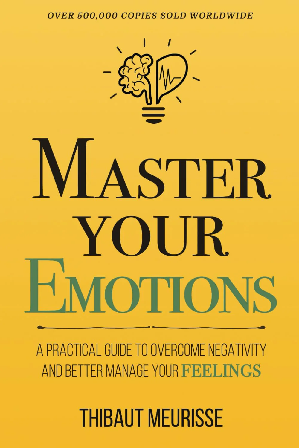 Master Your Emotions by Thibaut Meurisse