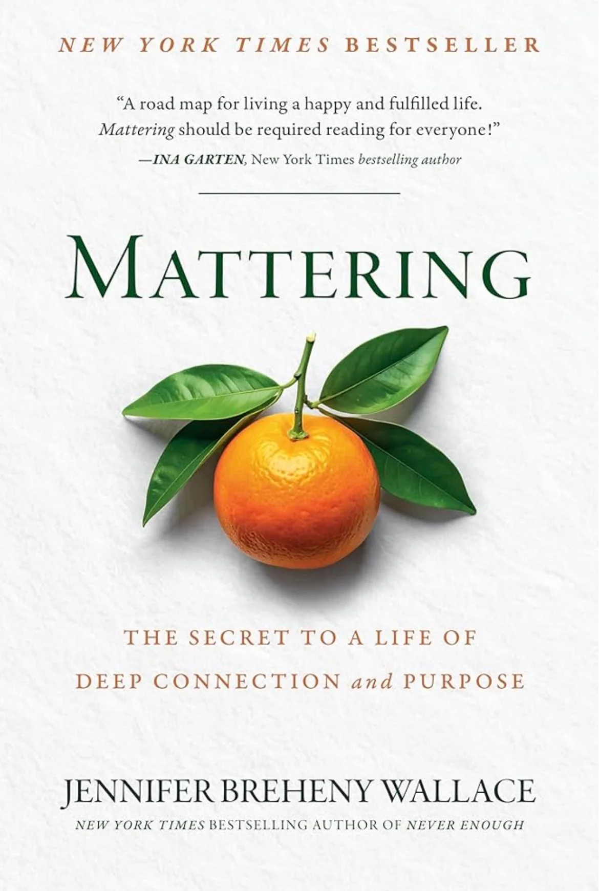 Mattering: The Secret to a Life of Deep Connection and Purpose
By Jennifer Breheny Wallace