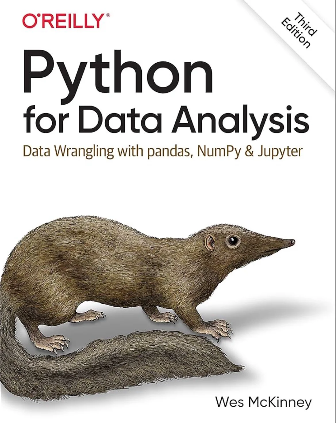 Python for Data Analysis
By Wes McKinney