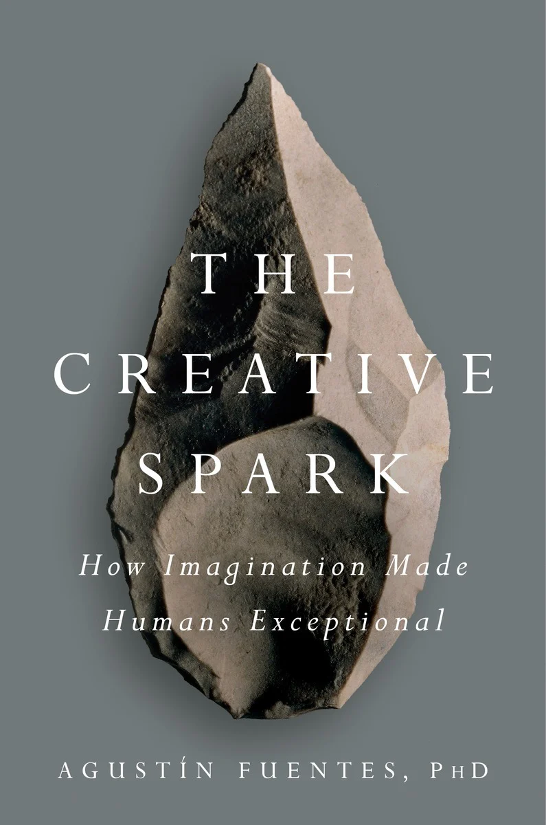 The Creative Spark  by Agustín Fuentes
