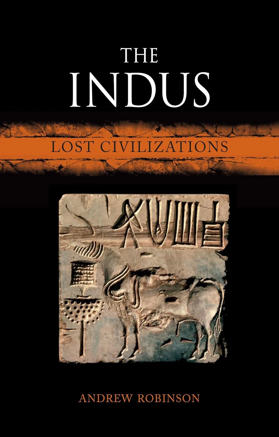The Indus: Lost Civilizations by Andrew Robinson