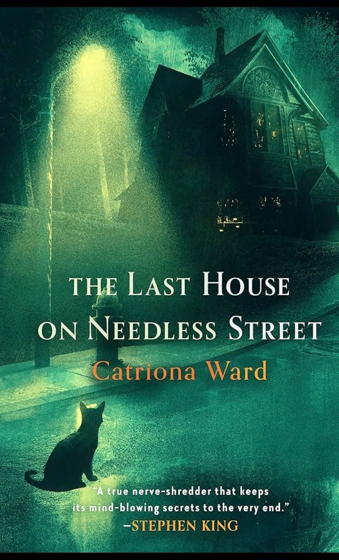 The Last House on Needless Street
By Catriona Ward